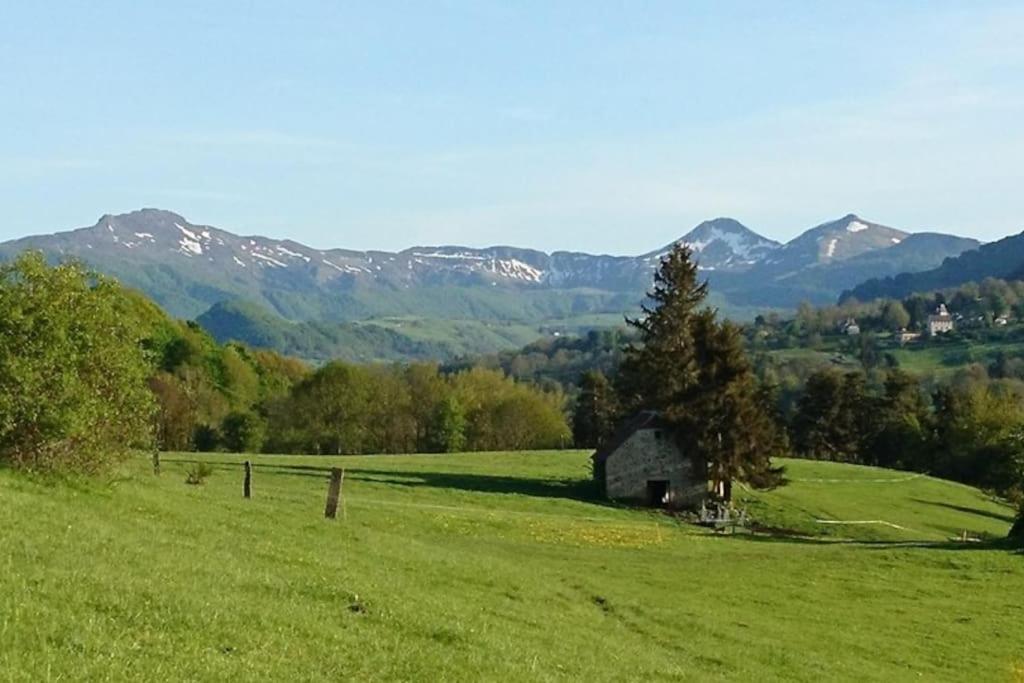 Gite A La Ferme Au Coeur De L'Auvergne Saint-Hippolyte  المظهر الخارجي الصورة